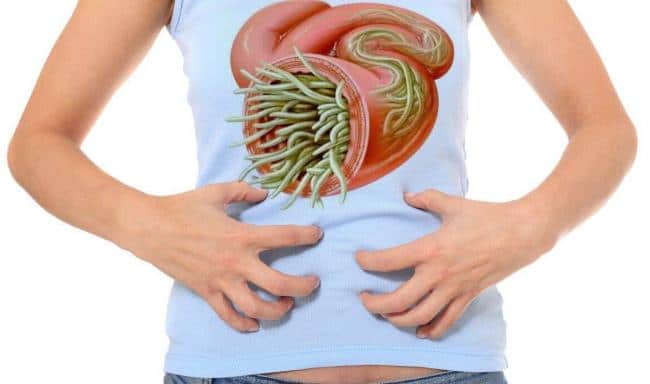 Parazitol ¿Cómo funciona?