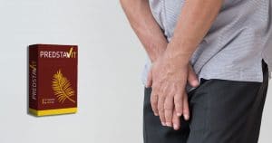 Predstavit Instrucciones para el uso de Predstavit