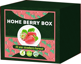 Home Berry Box Opiniones reales