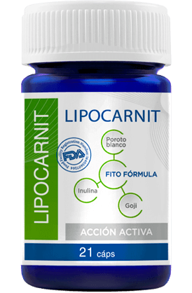 Lipocarnit qué es?